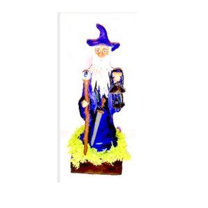 Light Up Elf Wizard with sword, lamp, hat, cape, walking stick with crystal ball